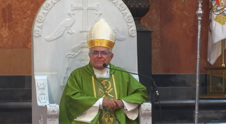 Homilía de Mons. Demetrio Fernández, obispo de Córdoba, del 22º domingo de Tiempo Ordinario, 28-8-2022