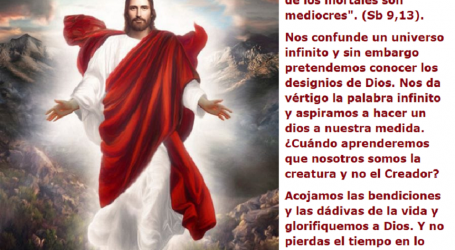 ¿Qué hombre conoce el designio de Dios? / Por P. Carlos García Malo