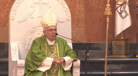 Homilía de Mons. Demetrio Fernández, obispo de Córdoba, del 28º domingo de Tiempo Ordinario, 9-10-2022