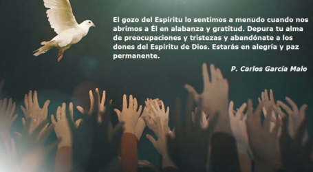Abandónate a los dones del Espíritu de Dios, estarás en alegría y paz permanente / Por P. Carlos García Malo