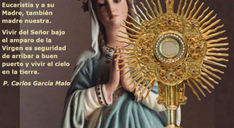 Vivir del Señor bajo el amparo de la Virgen es seguridad de arribar a buen puerto / Por P. Carlos García Malo