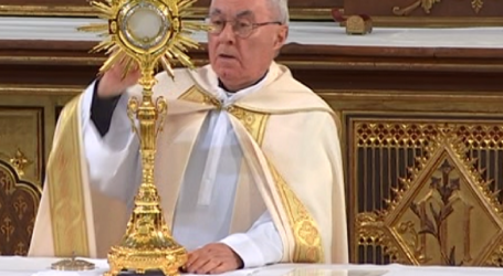 Adoración Eucarística con el P. José Aurelio Martín en la Basílica de la Concepción de Madrid, 15-11-2022
