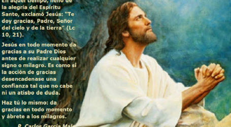 Lleno de la alegría del Espíritu Santo, exclamó Jesús: «Te doy gracias Padre» / Por P. Carlos García Malo