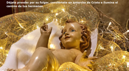 Conviértete en antorcha de Cristo e ilumina el camino de tus hermanos / Por P. Carlos García Malo