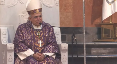 Homilía del Mons. Demetrio Fernández, obispo de Córdoba, y lecturas de la Misa de hoy, II domingo de Adviento, 4-12-2022
