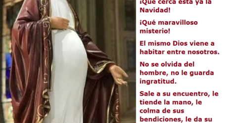 «La virgen está encinta y dará a luz un hijo» / Por P. Carlos García Malo
