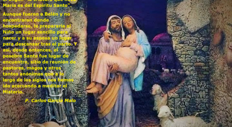 San José sabe lo que le ha dicho el ángel: «la criatura que lleva María es del Espíritu Santo». / Por P. Carlos García Malo