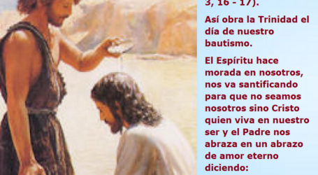 “Apenas se bautizó Jesús, salió del agua; se abrió el cielo y vio que el Espíritu de Dios bajaba” / Por P. Carlos García Malo