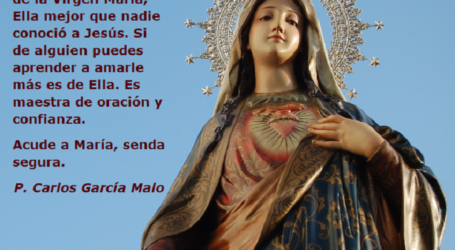 La Virgen María es maestra de oración y confianza / Por P. Carlos García Malo