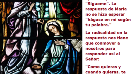 La respuesta de la Virgen María no se hizo esperar, «hágase en mi según tu palabra» / Por P. Carlos García Malo