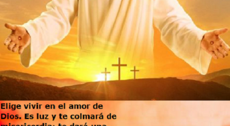Elige vivir en el amor de Dios, es luz y te colmará de misericordia / Por P. Carlos García Malo