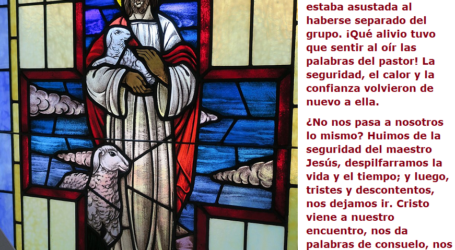 ¡Jesús es el buen pastor, mi alma descansa serena! / Por P. Carlos García Malo