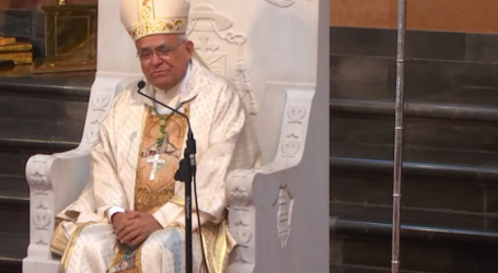 Homilía de Mons. Demetrio Fernández, obispo de Córdoba, y lecturas de la Misa de hoy, IV Domingo de Pascua, 30-4-2023