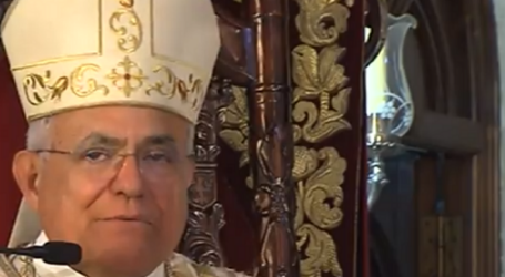 Homilía de Mons. Demetrio Fernández, obispo de Córdoba, y lecturas de la Misa de hoy domingo, festividad de la Virgen de Araceli, 7-5-2023 