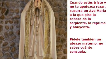 ¡Qué fuerza no tendrá la intercesión de la Virgen María! / Por P. Carlos García Malo