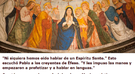 Muchos cristianos no conocen al Divino Espíritu, van a misa, rezan, pero no experimentan Su poder / Por P. Carlos García Malo