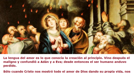 Quien recibe el Espíritu Santo, recibe el don del Amor / Por P. Carlos García Malo