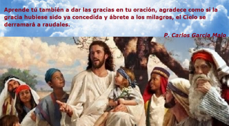 «Te doy gracias, Padre, Señor de cielo y tierra…» / Por P. Carlos García Malo
