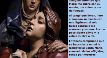 No dejes de acudir a la Virgen María en tiempos de tempestad, Ella te sostendrá / Por P. Carlos García Malo