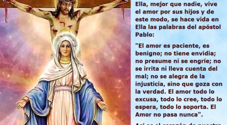 La Virgen María es la ternura de Dios que mira a los hombres / Por P. Carlos García Malo