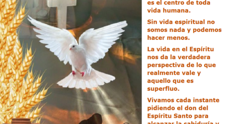 Vivamos pidiendo el don del Espíritu Santo para alcanzar la sabiduría y el discernimiento / Por P. Carlos García Malo