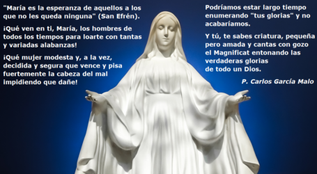 «La Virgen María es la esperanza de aquellos a los que no les queda ninguna» / Por P. Carlos García Malo