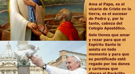 «Tú eres Pedro, y sobre esta piedra edificaré mi Iglesia» / Por P. Carlos García Malo