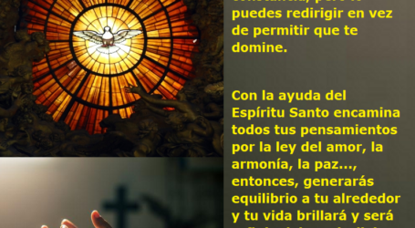 Con la ayuda del Espíritu Santo encamina todos tus pensamientos por la ley del amor / Por P. Carlos García Malo
