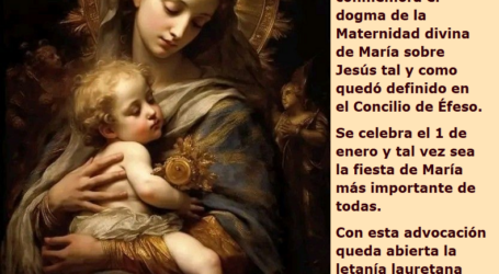 ¡Santa María, madre de Dios, ruega por nosotros! / Por P. Carlos García Malo