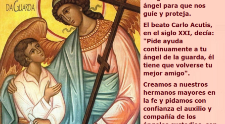 «Pide ayuda continuamente a tu ángel de la guarda, él tiene que volverse tu mejor amigo» / Por P. Carlos García Malo
