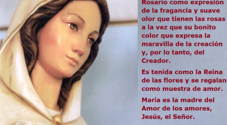 Virgen María, Rosa Mística, madre del Amor de los amores, Jesús, el Señor / Por P. Carlos García Malo