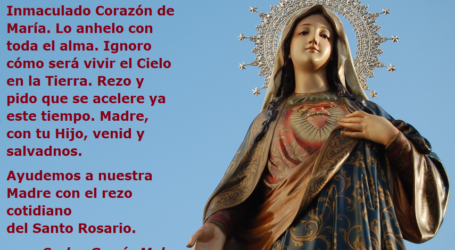 Madre, con tu Hijo Jesucristo, venid y salvadnos / Por P. Carlos García Malo