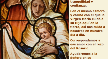 ¡María! Madre de Jesús y Madre nuestra nos cuida en nuestro día a día / Por P. Carlos García Malo
