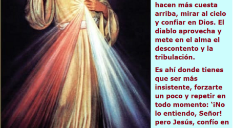 «Jesús, confío en Ti» / Por P. Carlos García Malo