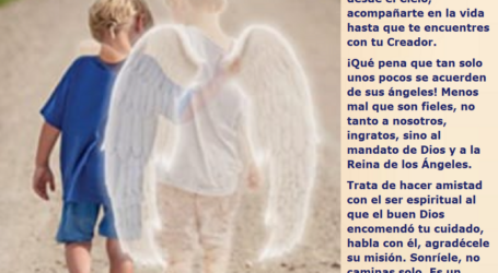 Tu ángel tiene una misión, acompañarte en la vida hasta que te encuentres con Dios / Por P. Carlos García Malo