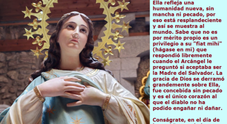 Conságrate al Inmaculado Corazón de María, es cobijo seguro y fuente de gracias / Por P. Carlos García Malo