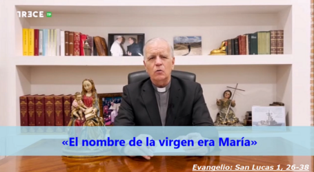 Palabra de Vida 8/12/2023: «El nombre de la virgen era María» / Por P. Jesús Higueras