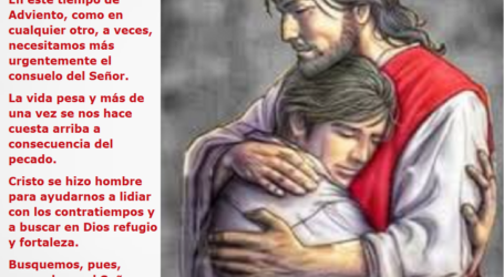 Busquemos consuelo en el Señor y con Él cojamos fuerza para seguir adelante con ánimo / Por P. Carlos García Malo