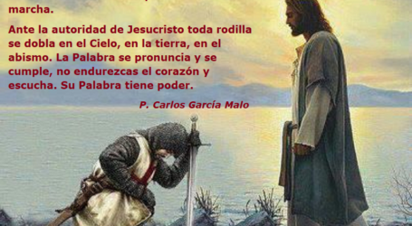 Cristo es la Palabra del Padre, ante su autoridad toda rodilla se dobla / Por P. Carlos García Malo