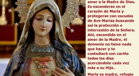 El Inmaculado Corazón de María es madre, refugio, escudo y también  ¡causa de nuestra alegría! / Por P. Carlos García Malo