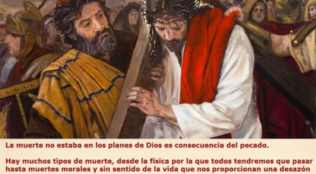 Solo mirando a Cristo en la cruz y adhiriéndonos a su «via crucis» podremos encontrar consuelo y esperanza  / Por P. Carlos García Malo
