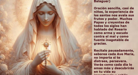 Recíta pausadamente el Santo Rosario, saborea cada Ave María, no importa si te distraes, persevera / Por P. Carlos García Malo