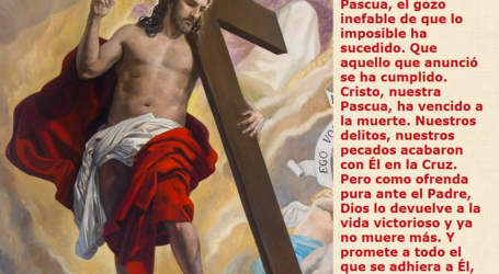 Cristo, nuestra Pascua, ha vencido a la muerte, Dios lo devuelve a la vida victorioso / Por P. Carlos García Malo