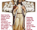 Siéntete oveja del rebaño de Cristo, el buen Pastor, y déjate apacentar por Él / Por P. Carlos García Malo