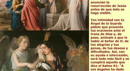 «A sus ángeles ha dado orden para que te guarden en el camino» / Por P. Carlos García Malo