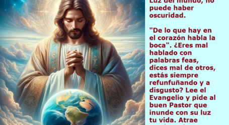 «Dios es luz y en Él no hay tinieblas» / Por P. Carlos García Malo
