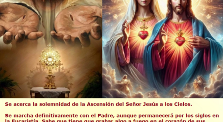 «Permaneced en mi amor»: Sé en el mundo continuación de los latidos de los corazones de Jesús y María / Por P. Carlos García Malo