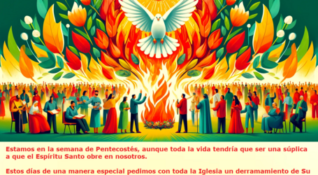 Toda la vida tendría que ser una súplica a que el Espíritu Santo obre en nosotros / Por P. Carlos García Malo
