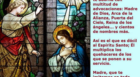 Virgen María que te imitemos y nos dejemos sorprender por lo que el Espíritu Santo haga en nosotros / Por P. Carlos García Malo