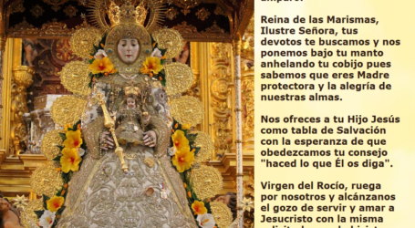 Virgen del Rocío, ruega por nosotros y alcánzanos el gozo de servir y amar a Jesucristo / Por P. Carlos García Malo